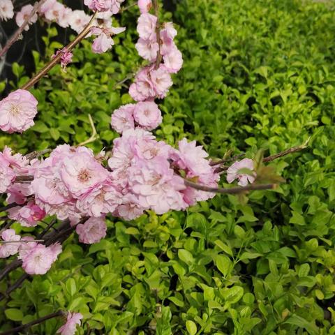 孙堡营中学—教研员观摩指导初中英语教学