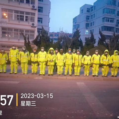 2023.3.15金岭绿化网格化保洁小结：