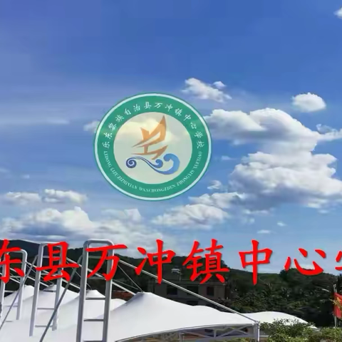 智慧教育启新篇，平台培训助成长——万冲镇中心学校学校及各村小教师“国家智慧中小学教育平台”应用能力提升全员培训