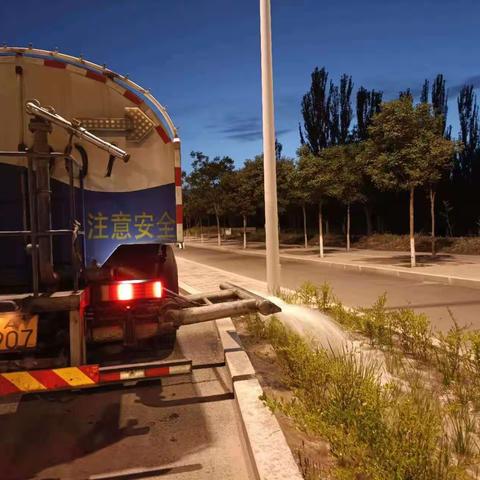 保园林植物  抗持续高温