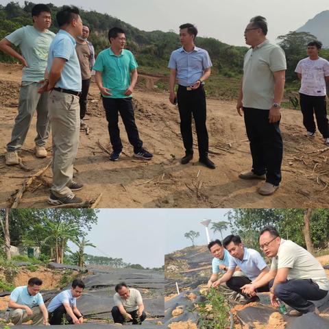 县农业产业发展中心调研组到阜龙乡指导2022年标准化茶园开发建设项目