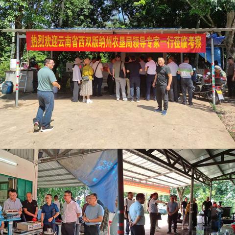 云南省西双版纳州农垦局领导专家一行莅临白沙县考察橡胶产业