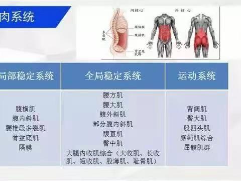 特殊儿童大肌肉训练教案——肌力控制