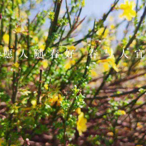 春暖花开，探究向未来