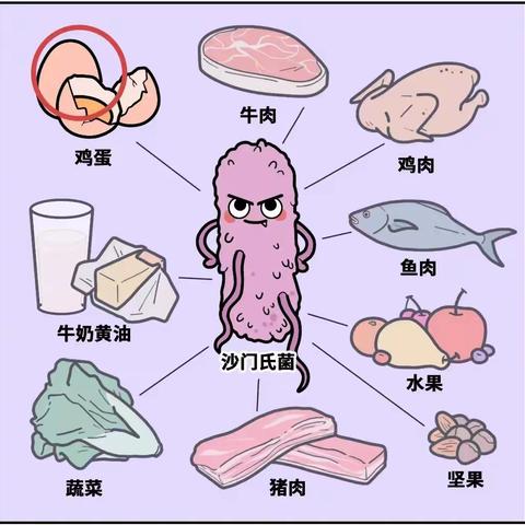 盛夏将至，四子王旗疾控提醒您：警惕沙门氏菌污染食物导致食源性疾病