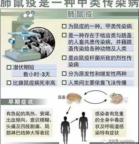 【健康宣教】防控鼠疫，健康你我