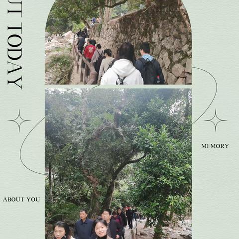 省直住宅中心工会组织会员开展秋游活动