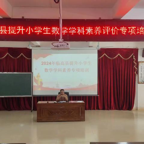 点亮数学之光，培育素养之苗 ———2024年临高县提升小学生数学学科素养评价专项培训