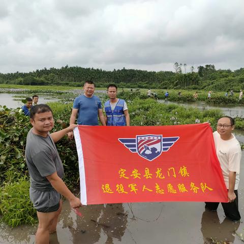 “老兵永远跟党走，保护环境我先行”——龙门镇退役军人志愿服务队开展水浮莲清理活动