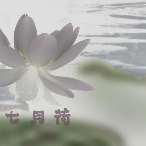 2025 一周一主题 第三季度