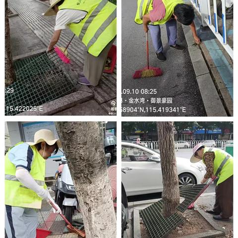 晨光中的绿色守护者