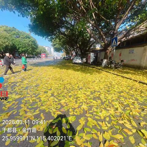 春风拂城，落叶“焕”新颜——致敬城市美容师