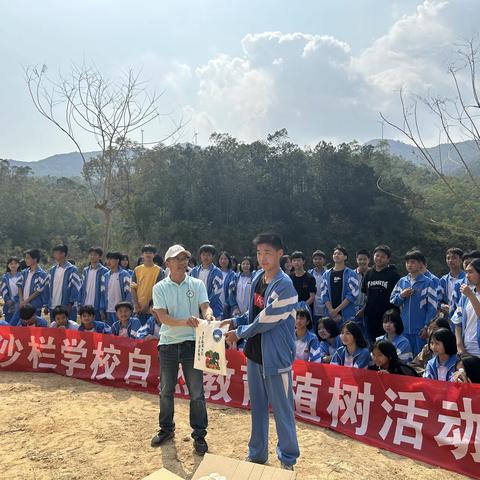 海宴镇沙栏学校“春风十里 植此青绿”植树节实践活动总结