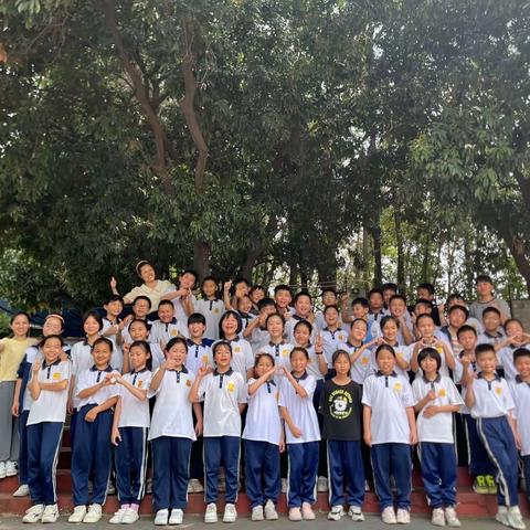 新朗实验学校502班期末工作总结