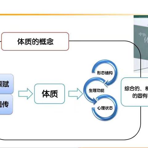 中医体质辨识