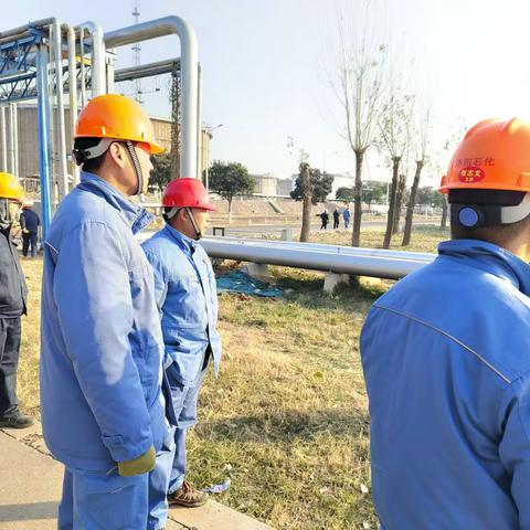 与时间赛跑，拿数据说话！