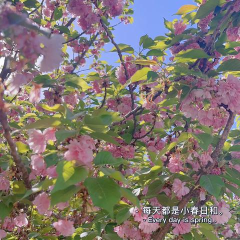 研学话教育 携手新征程——王静漪名师工作室赴京研学交流