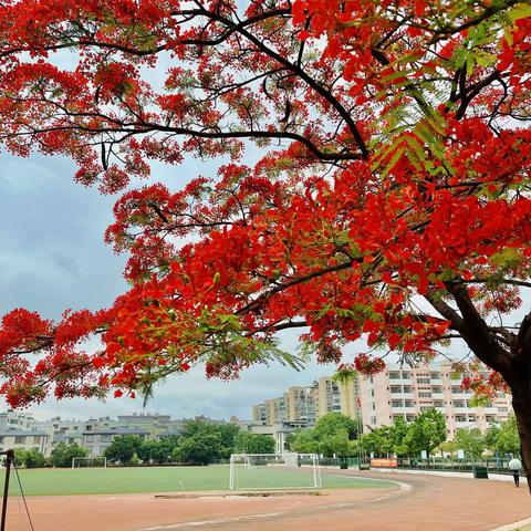 预防突发事件，保障校园安全——蒙自市第三中学八年级突发安全事件应急疏散撤离演练。