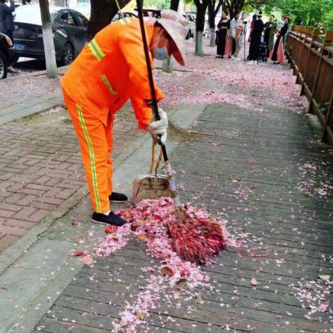 春风吹落叶，环卫忙清扫