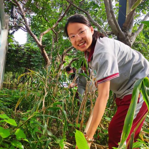 以劳为美，育见美好——劳动育人“校—班—生”实践探索