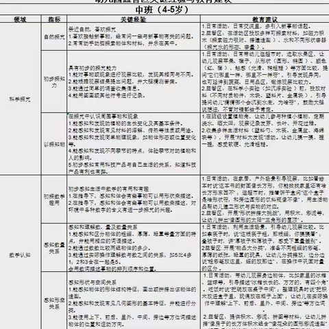 中班组益智区关键经验与指导建议梳理