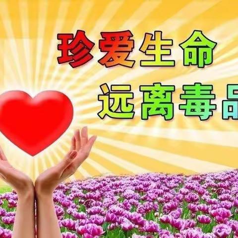 库区小学：举行“珍爱生命，远离毒品”教育活动
