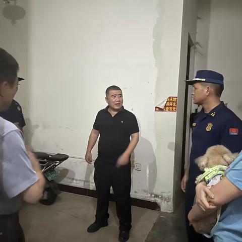 金宇的简篇