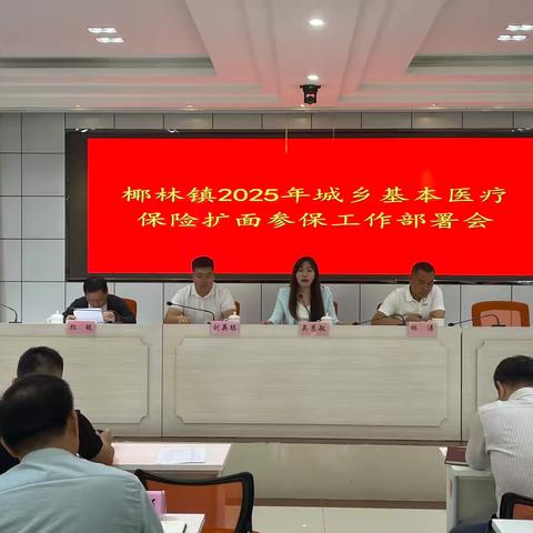 椰林镇2025年城乡基本医疗保险扩面参保工作部署会 ‍ ‍