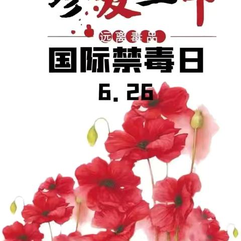 珍爱生命，远离毒品——翠峰镇史务小学禁毒月宣传教育