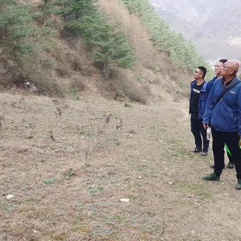 康南林业总场踏查豆坝林场2023年度提前批森林质量提升项目地块落实情况