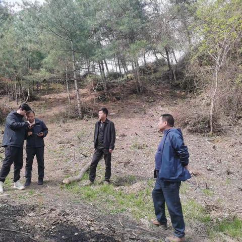 康南林业总场检查验收豆坝林场秦岭西段水源涵养与生物多样性保护修复项目