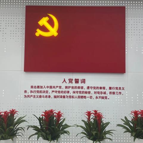华远锦悦社区党支部“参观红色展厅，接受红色洗礼”主题党日活动