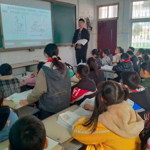 不负光阴，教学相长——新密市曲梁镇全庄小学语文教研活动