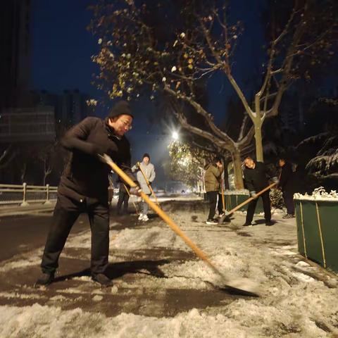 以雪为令 园林中心全员出动守护城市畅通