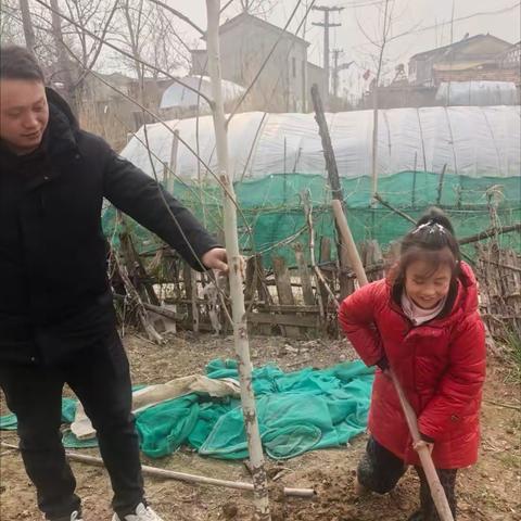 植绿护绿正当时｜淮安市实验小学长征校区二14班开展“童心植梦·绿润成长”植树节主题实践活动