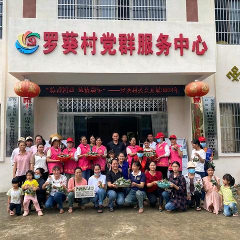 “粽香四溢 浓情端午”--南林乡罗葵村委会开展2024年“我们的节日·端午”主题活动