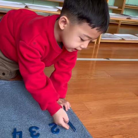 苹果一班区域活动—数学领域案例