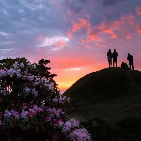 5.6月（端午节）免门票线路出炉，黄山、宏村、西递卢村、南屏、屏山（非周三自理黄山190宏村75西递75）