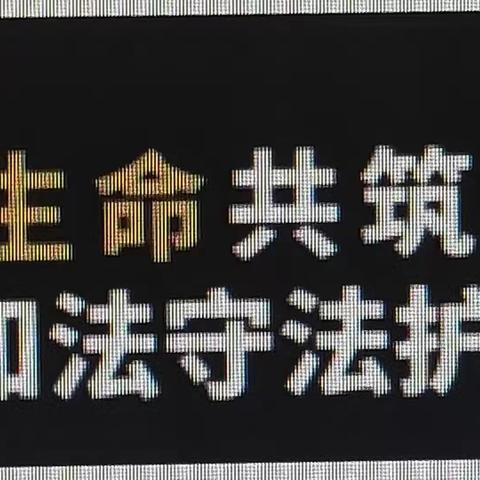 爱路护路，从我做起——卫辉市第十中学爱路护路宣传教育活动掠影