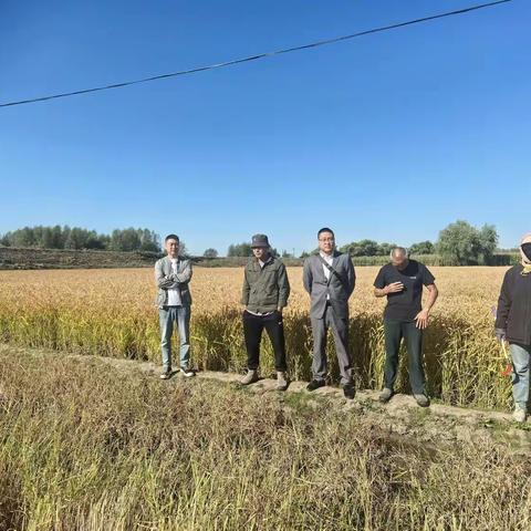 金融安全入人心，护航巴彦万家暖 哈尔滨银行巴彦支行征信宣传活动