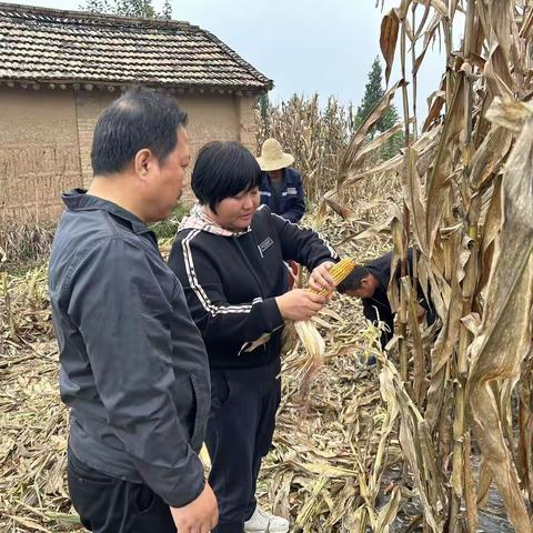 强抓技术服务 助力秋收秋播