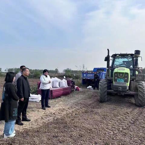 深耕细作提质量 打造高产样板田 助力粮食产能提升