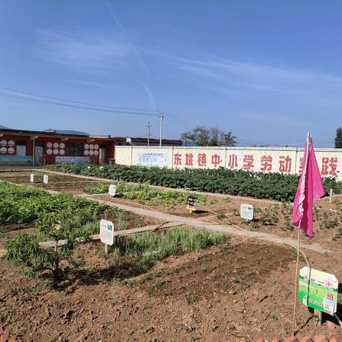 劳动实践结硕果，敬老慰问暖人心——林州市东姚镇中心学校劳动与慰问活动纪实