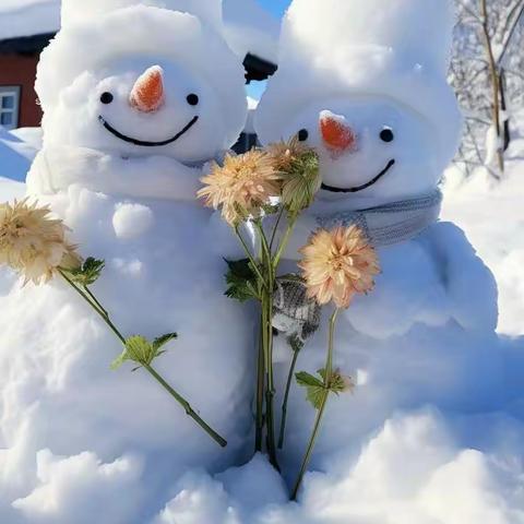 春雪后的快乐时光