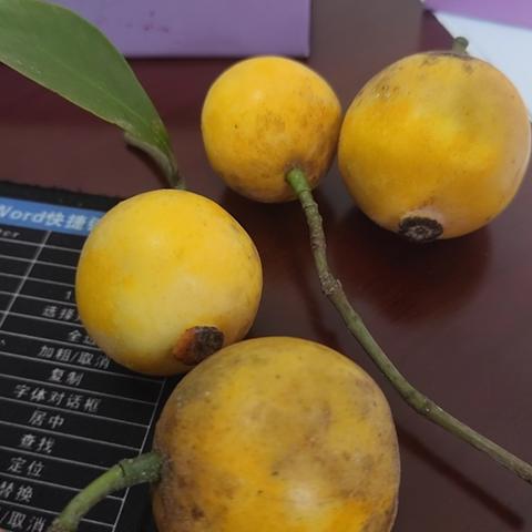 冬日长安蕴暖意 研修启智正当时 ——广东省第五批基础教育校本教研体系项目（肇庆）骨干成员培训