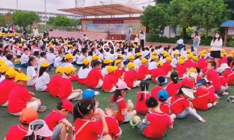 【幼小衔接】初夏美好 遇见小学 | 培英幼儿园大班参观新星小学篇