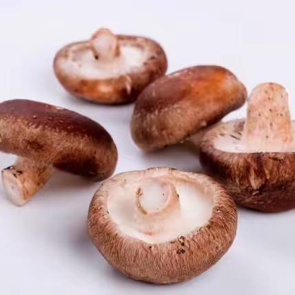 【美好“食”光，用心陪伴】——西安莲湖华美童年幼儿园4月4日美食分享