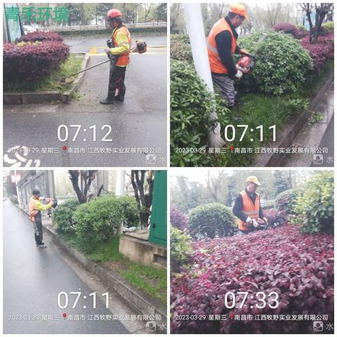 细雨朦胧，风柔景美，春花瓣瓣，沁香满径，花香伴着清风