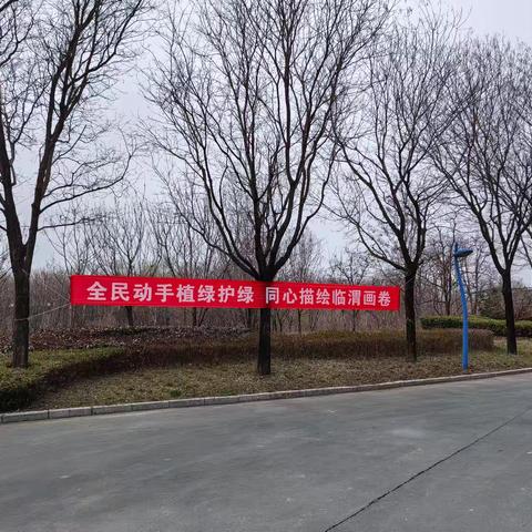 2025.3.12植树节-临渭区绘就绿色生态新画卷