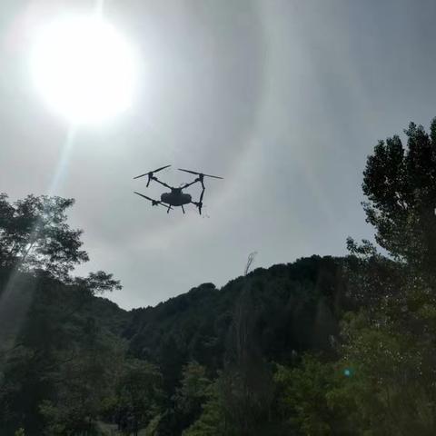 林业站近期工作开展情况